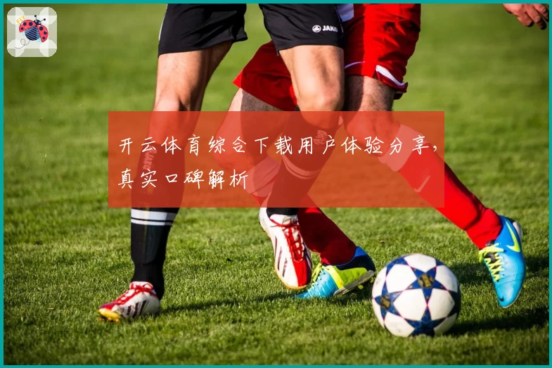 开云体育综合下载用户体验分享，真实口碑解析