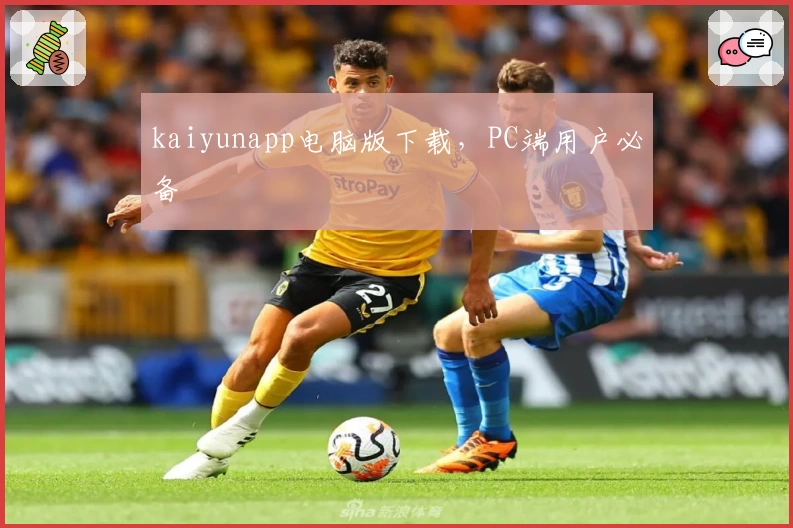 kaiyunapp电脑版下载,PC端用户必备